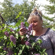  ,   , 60 ,   c 