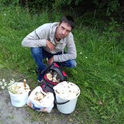  ,   , 43 ,   ,   , c , 