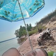  ,   , 41 ,   ,   , 