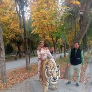  ,   , 26 ,   ,   