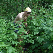 ���������� �������, ���� ������� Vadik, 45 ���, ������������ ��� ������, ����� � ���������, c�������� ���������