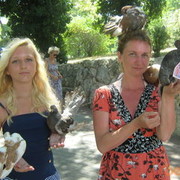  ,   FREYA, 52 ,     , c 
