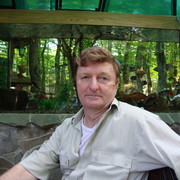   ,   , 62 ,   