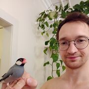 ���������� �����-���������, ���� ������� �������, 35 ���, ������������ ��� ������, ����� � ���������, c�������� ���������