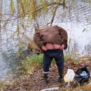 ���������� �����, ���� ������� Vasa, 42 ����, ������������ ��� ������