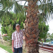 ���������� �����-���������, ���� ������� ����, 37 ���, ������������ ��� ������