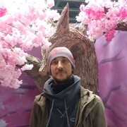 ���������� �����, ���� ������� Lex, 37 ���, ������������ ��� ������, ����� � ���������, c�������� ���������