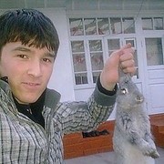 ���������� �������, ���� ������� CHIRVON, 36 ���, ������������ ��� ������