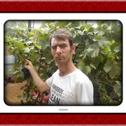  ,   , 50 ,   ,   , c 