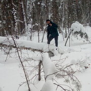 ���������� �������, ���� ������� �����, 36 ���, ������������ ��� ����� � ���������, c�������� ���������, ���������