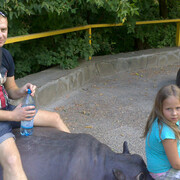 �������