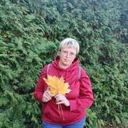 ���������� �����������, ���� ������� ������, 41 ���, ������������ ��� ����� � ���������, c�������� ���������