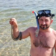 ���������� ������������, ���� ������� ��������, 46 ���, ������������ ��� ������, ����� � ���������, c�������� ���������, ���������