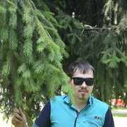 ���������� ������, ���� ������� ����, 34 ����, ������������ ��� ������, ����� � ���������, c�������� ���������