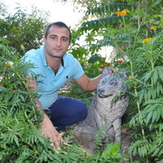  ,   ROMA, 42 ,   