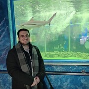 ���������� ���������, ���� ������� ������, 28 ���, ������������ ��� ������, ����� � ���������