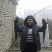  ,   , 40 ,   ,   , c , 