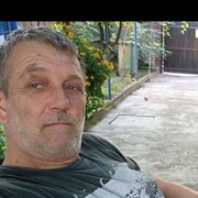  Zitiste,  , 51