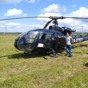 ���������� ����, ���� ������� ����, 42 ����, ������������ ��� c�������� ���������