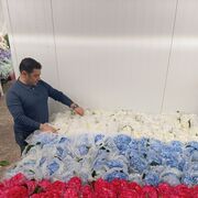 ���������� ��������, ���� ������� ����, 41 ���, ������������ ��� ������, ����� � ���������