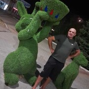 ���������� ���������, ���� ������� ������, 46 ���, ������������ ��� c�������� ���������