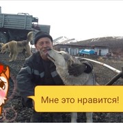  ,   , 59 ,  