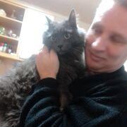 ���������� �����������, ���� ������� ��������, 51 ���, ������������ ��� ������, ����� � ���������