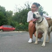 ���������� ����, ���� ������� ��������, 31 ���, ������������ ��� ������, ����� � ���������, c�������� ���������