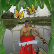  ,   , 40 ,   ,   