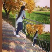 ���������� ������, ������