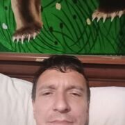  ,  , 41