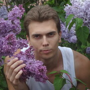  ,   , 41 ,   ,   