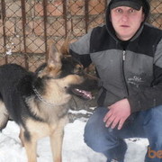 ���������� �������, ���� ������� Goga, 40 ���, ������������ ��� ������, ����� � ���������, c�������� ���������