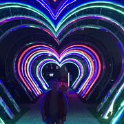 ���������� ������, ���� ������� �������, 43 ����, ������������ ��� ������, ����� � ���������, c�������� ���������, ���������