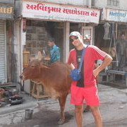 ���������� ������, ���� ������� ���������, 37 ���, ������������ ��� ������, ����� � ���������, c�������� ���������