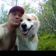  ,   , 51 ,   ,   