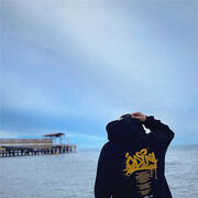 ���������� ��������, ���� ������� �������, 35 ���, ������������ ��� ������, ����� � ���������, c�������� ���������, ���������