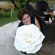  ,   , 59 ,  