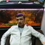 ���������� ����, ���� ������� ������, 44 ����, ������������ ��� ������