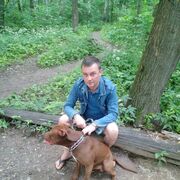 ���������� ���������, ���� ������� ���������, 47 ���, ������������ ��� ������, ����� � ���������, c�������� ���������, ���������