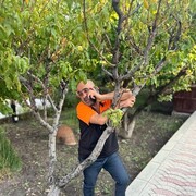 ���������� ������, ���� ������� ����, 57 ���, ������������ ��� ������, ����� � ���������