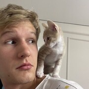 ���������� �������, ������ �������, 18