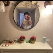 ���������� ���������������, ���� ����� ������, 24 ����, ������������ ��� ������, ����� � ���������