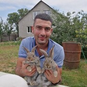  ,   Gayk, 30 ,   , 