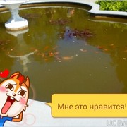  ,   Aleksandr, 46 ,   