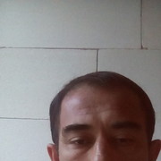  -,   Ȩ, 43 ,  