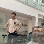 ���������� ������, ���� ������� LION, 35 ���, ������������ ��� ������, ����� � ���������, c�������� ���������