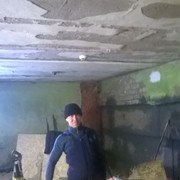   ,   , 50 ,  