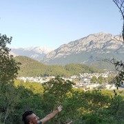  ,  Serhat, 31