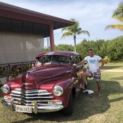 ���������� ����������, ���� ������� �������, 36 ���, ������������ ��� ������, ����� � ���������